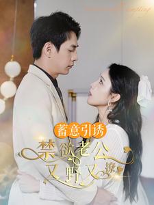 蓄意引诱禁欲老公又野又撩&amp;婚约老公他明宠暗撩